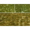 Ciuffi altezza 5 mm e Turf